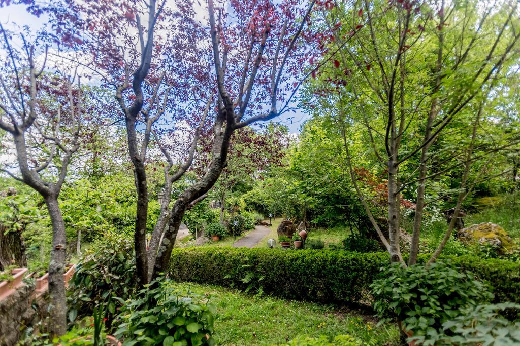 Il Boschetto Di Castagni Bed & Breakfast Soriano nel Cimino Bagian luar foto